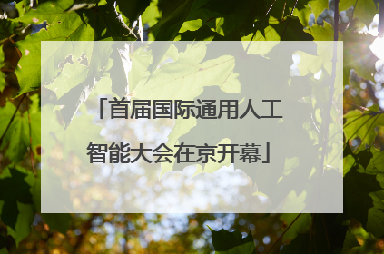 首届国际通用人工智能大会在京开幕
