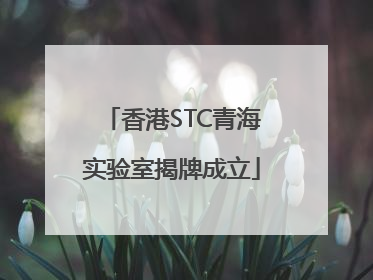 香港STC青海实验室揭牌成立