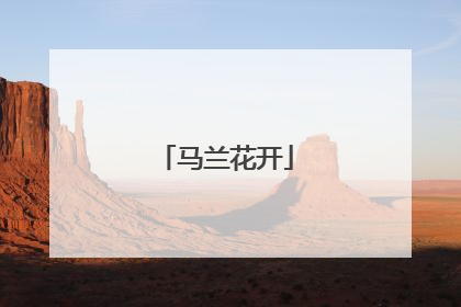 马兰花开