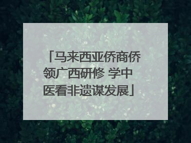 马来西亚侨商侨领广西研修 学中医看非遗谋发展