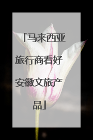 马来西亚旅行商看好安徽文旅产品