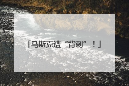 马斯克遭“背刺”！
