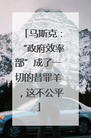马斯克：“政府效率部”成了一切的替罪羊，这不公平