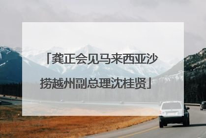 龚正会见马来西亚沙捞越州副总理沈桂贤