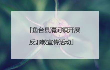 鱼台县清河镇开展反邪教宣传活动