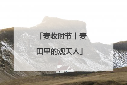 麦收时节丨麦田里的观天人