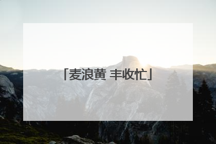 麦浪黄 丰收忙