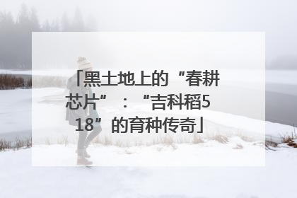 黑土地上的“春耕芯片”：“吉科稻518”的育种传奇