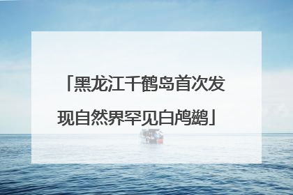 黑龙江千鹤岛首次发现自然界罕见白鸬鹚