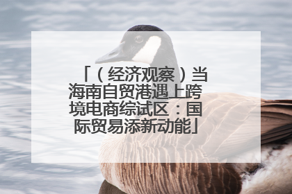 （经济观察）当海南自贸港遇上跨境电商综试区：国际贸易添新动能