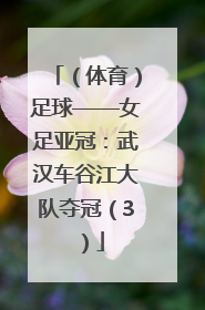 （体育）足球——女足亚冠：武汉车谷江大队夺冠（3）
