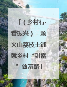 （乡村行·看振兴）一颗火山荔枝王铺就乡村“甜蜜”致富路