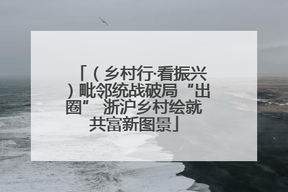 （乡村行·看振兴）毗邻统战破局“出圈” 浙沪乡村绘就共富新图景