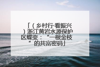 （乡村行·看振兴）浙江黄岩水源保护区蝶变：“一根金枝”的共富密码