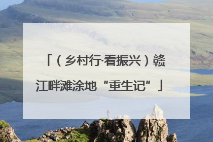 （乡村行·看振兴）赣江畔滩涂地“重生记”