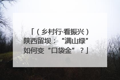 （乡村行·看振兴）陕西留坝：“满山绿”如何变“口袋金”？