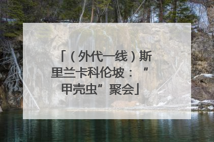 （外代一线）斯里兰卡科伦坡：“甲壳虫”聚会
