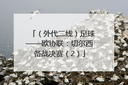 （外代二线）足球——欧协联：切尔西备战决赛（2）