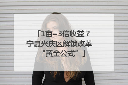 1亩=3倍收益？宁夏兴庆区解锁改革“黄金公式”