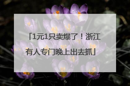 1元1只卖爆了！浙江有人专门晚上出去抓