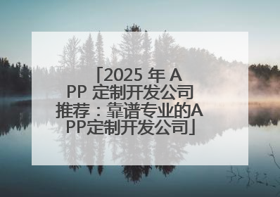 2025 年 APP 定制开发公司推荐：靠谱专业的APP定制开发公司