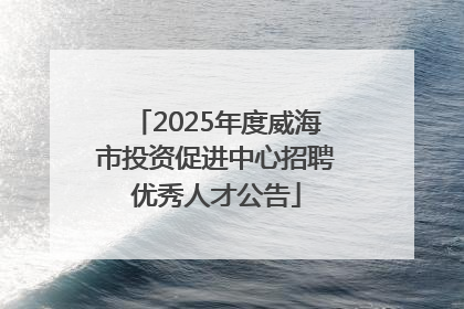 2025年度威海市投资促进中心招聘优秀人才公告