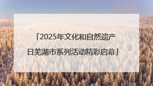 2025年文化和自然遗产日芜湖市系列活动精彩启幕