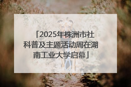 2025年株洲市社科普及主题活动周在湖南工业大学启幕