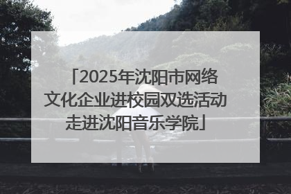 2025年沈阳市网络文化企业进校园双选活动走进沈阳音乐学院