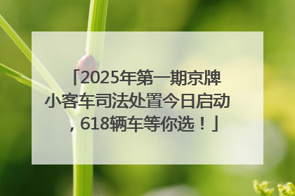 2025年第一期京牌小客车司法处置今日启动，618辆车等你选！