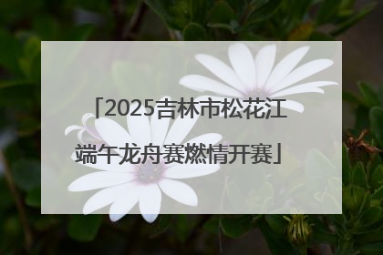 2025吉林市松花江端午龙舟赛燃情开赛
