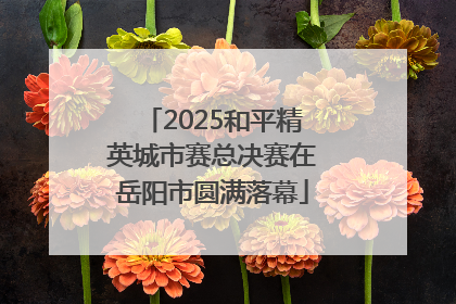 2025和平精英城市赛总决赛在岳阳市圆满落幕