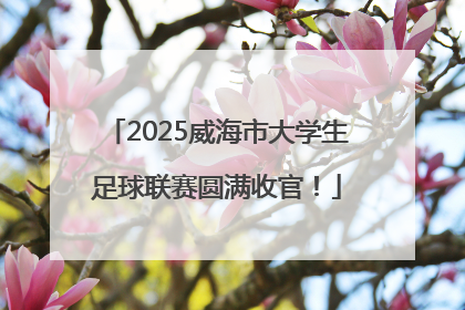 2025威海市大学生足球联赛圆满收官！