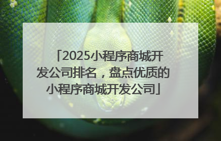 2025小程序商城开发公司排名，盘点优质的小程序商城开发公司