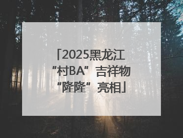 2025黑龙江“村BA”吉祥物“隆隆”亮相