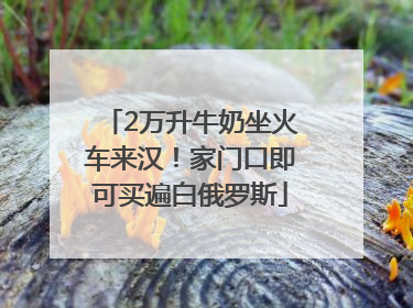 2万升牛奶坐火车来汉！家门口即可买遍白俄罗斯