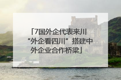 7国外企代表来川 “外企看四川”搭建中外企业合作桥梁