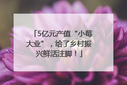 5亿元产值“小莓大业”，给了乡村振兴鲜活注脚！