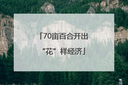 70亩百合开出“花”样经济